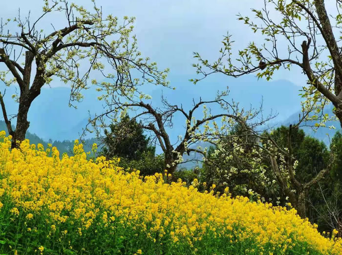 55f2ad5c539b3c5d4bc4619eb1d96403 1.jpg