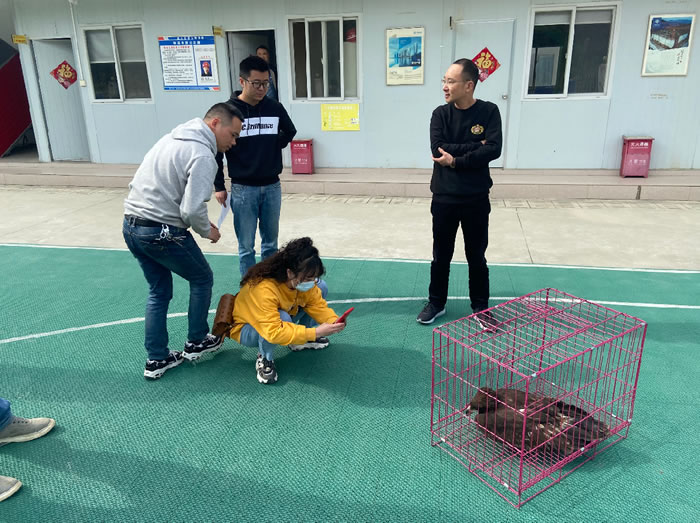 2a51791d915ad64335bb52cc6e1f874b 200.jpg