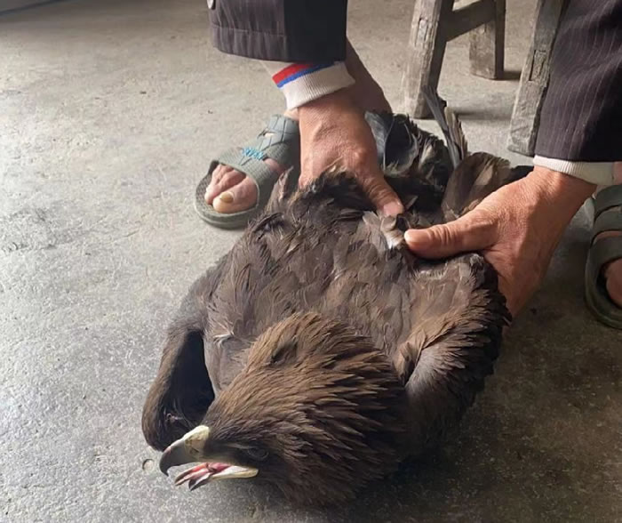 8a8466141205c9755dbdd1cd71fc8b6c 202.jpg