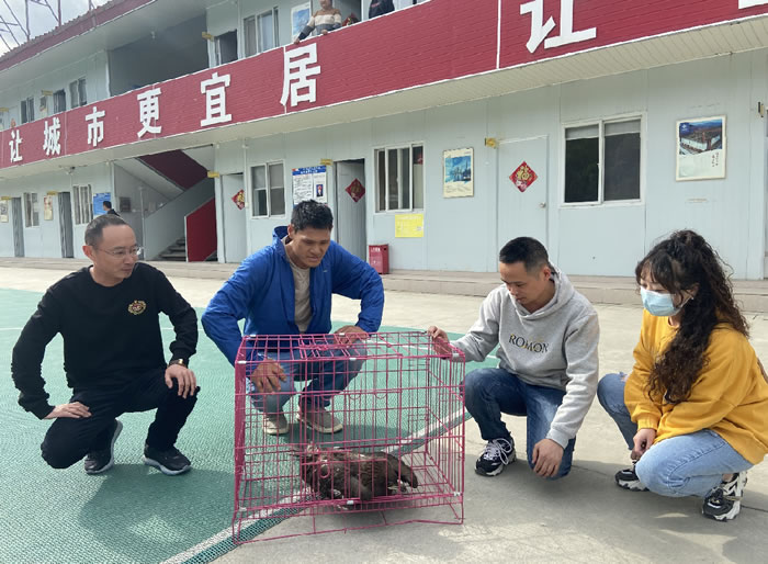 b783bb84cb19a4e34568eb456e6b4df2 201.jpg