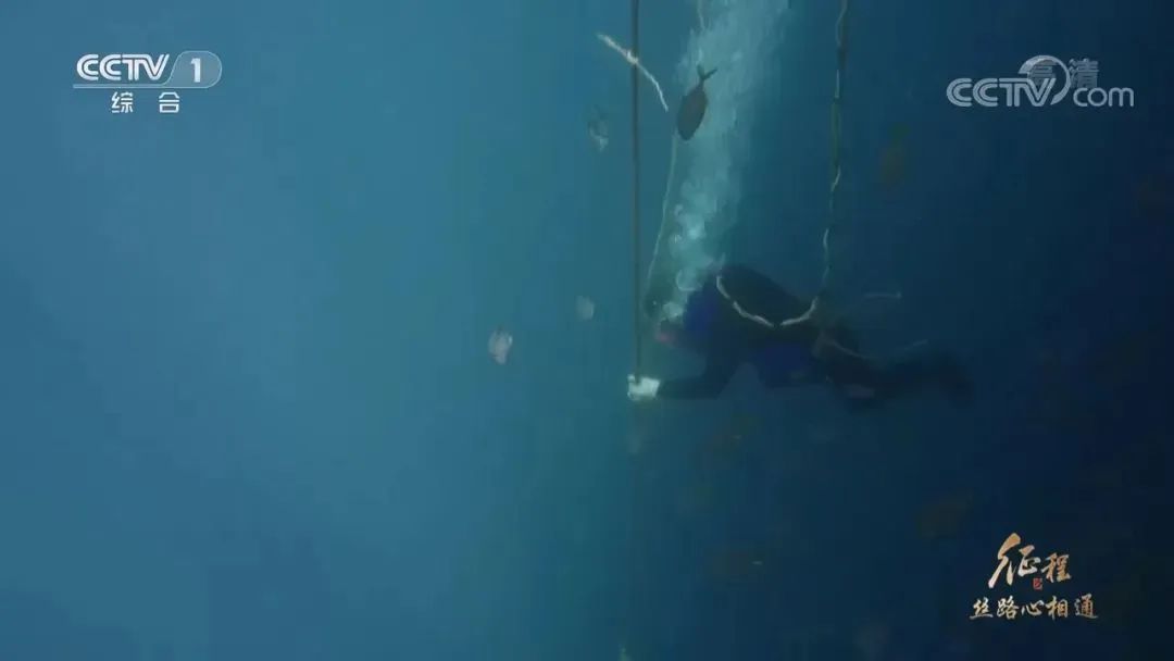 98715595eff5b93a448f7b4fa972e9ea 640 (2).jpg