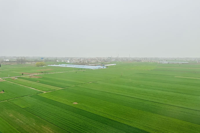 134e61c51164fc83ab9c967689ea2a90 1.jpg