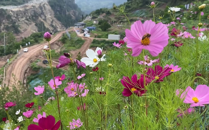 4e0c922a98e25de5b54763cf8a5a235c 3.jpg