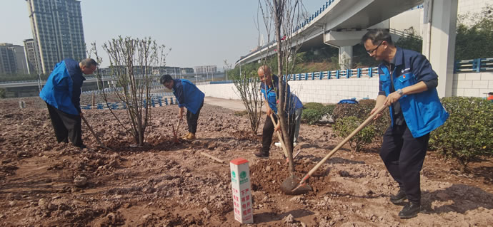 e944537a8f9248bc18aba67569f8f938 2.jpg