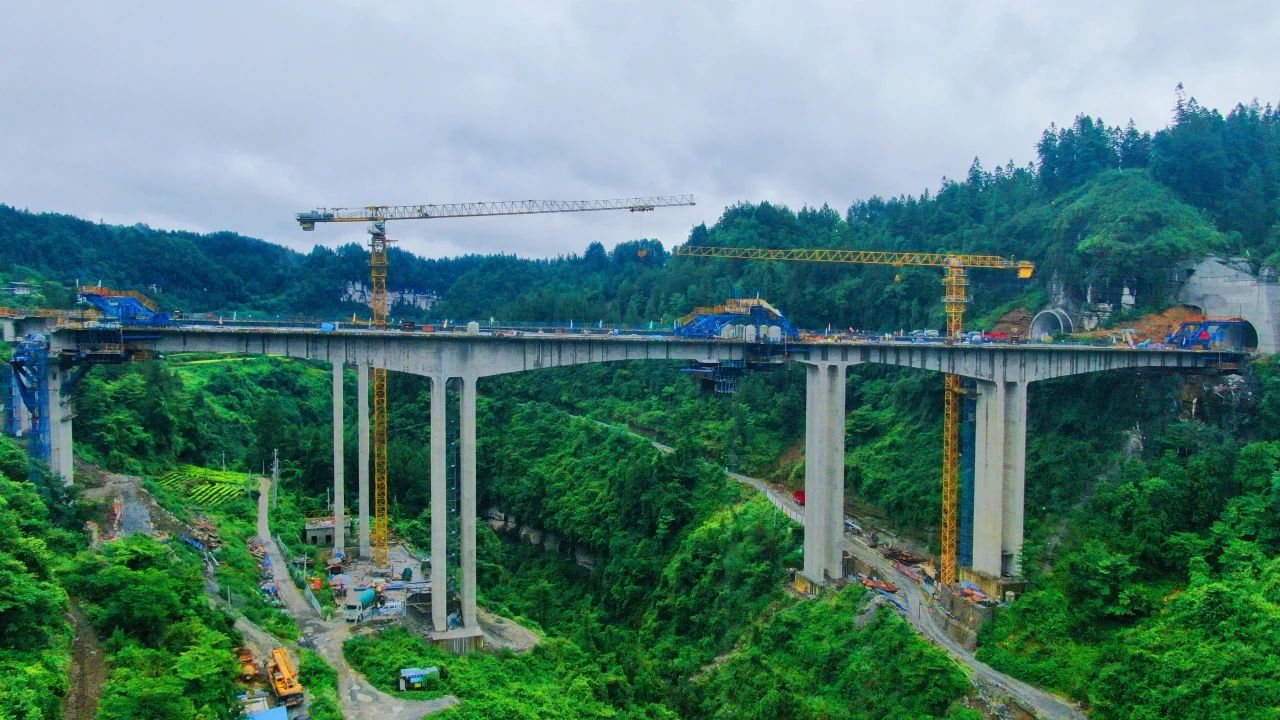 ΢��ͼƬ_20250801095418