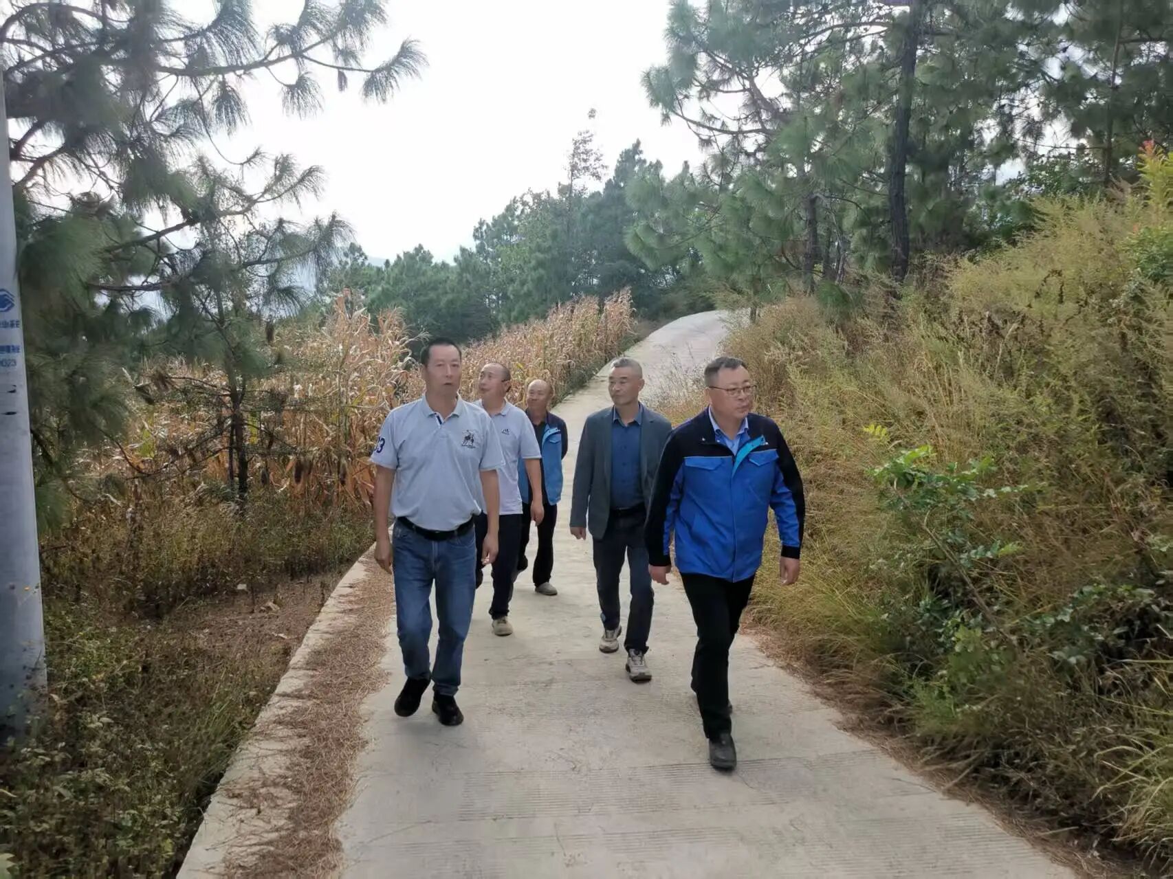 ΢��ͼƬ_2025-11-03_092221_897