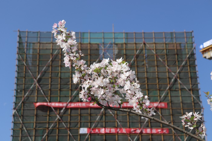 1xBET��Signup(�й�����)-�ٷ���վ