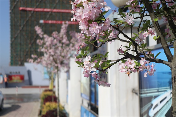 1xBET��Signup(�й�����)-�ٷ���վ