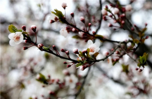 202003061035393539 1xBET·Signup(中国集团)-官方网站