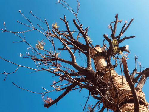 1xBET��Signup(�й�����)-�ٷ���վ