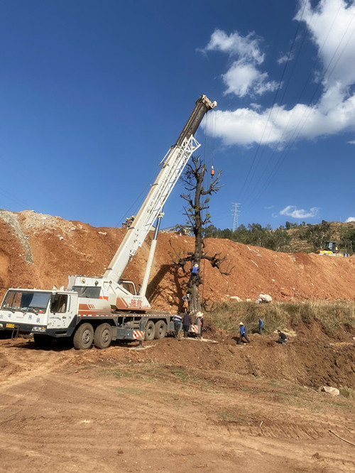 1xBET��Signup(�й�����)-�ٷ���վ