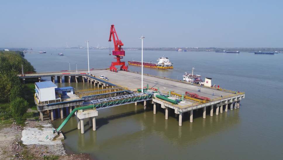 1xBET��Signup(�й�����)-�ٷ���վ