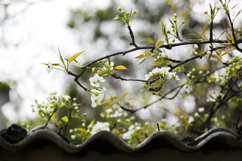 1xBET��Signup(�й�����)-�ٷ���վ