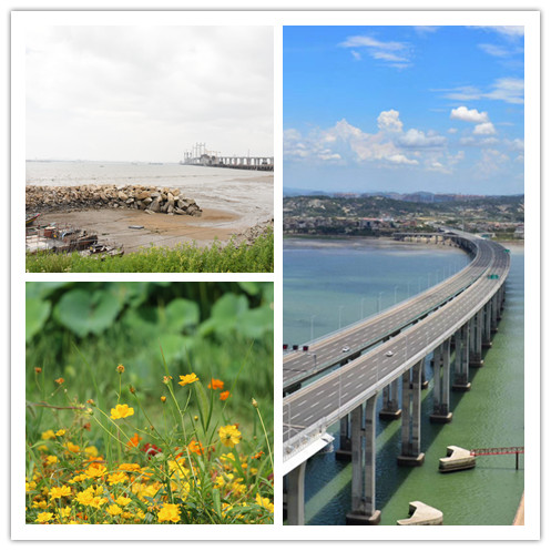 1xBET��Signup(�й�����)-�ٷ���վ