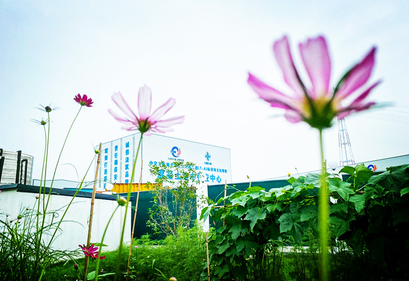 1xBET��Signup(�й�����)-�ٷ���վ