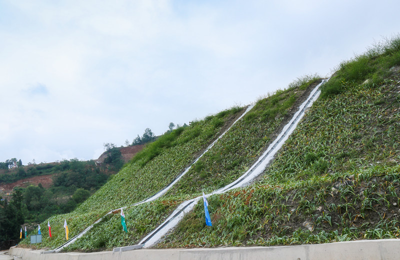 20200817143501351 1xBET¡¤Signup(Öйú¼¯ÍÅ)-¹Ù·½ÍøÕ¾