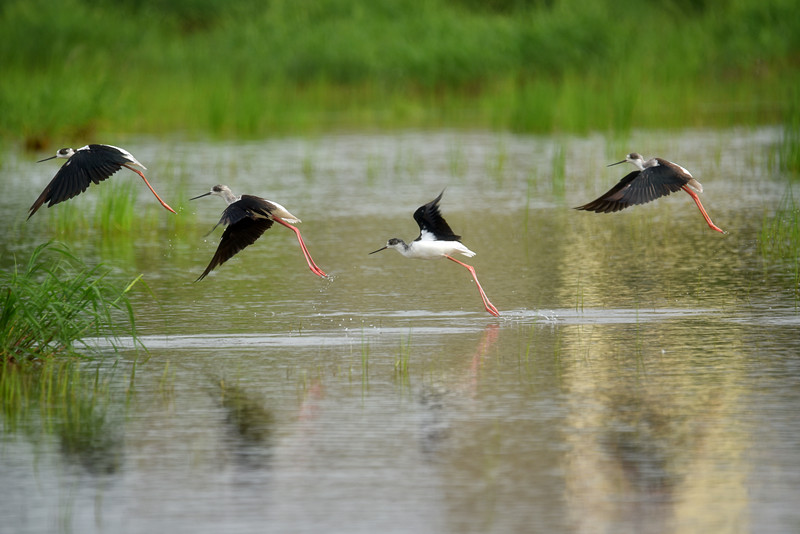 1xBET��Signup(�й�����)-�ٷ���վ