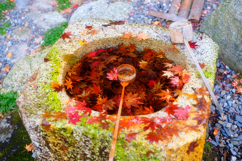 20200914100135135 1xBET¡¤Signup(Öйú¼¯ÍÅ)-¹Ù·½ÍøÕ¾