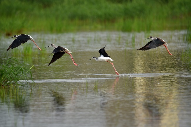 202011181035273527 1xBET¡¤Signup(Öйú¼¯ÍÅ)-¹Ù·½ÍøÕ¾