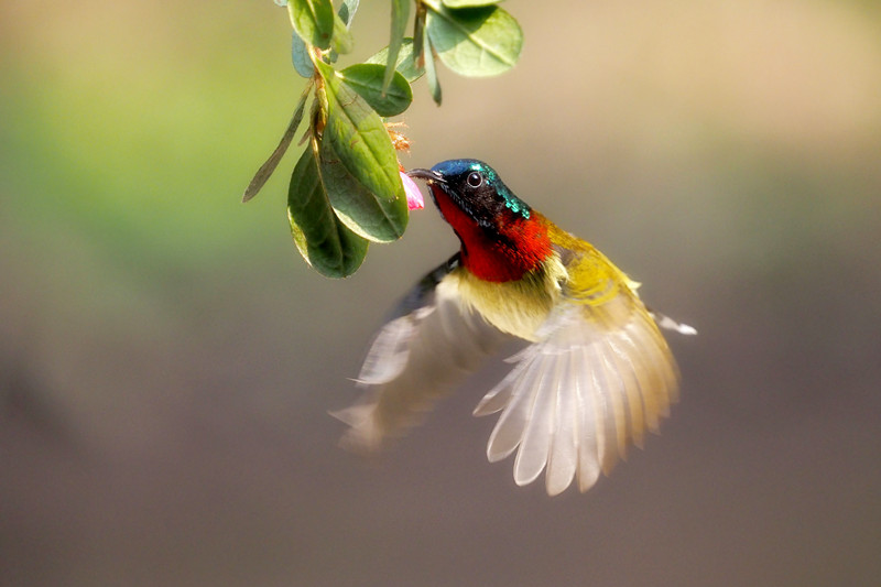 202104201433213321 1xBET¡¤Signup(Öйú¼¯ÍÅ)-¹Ù·½ÍøÕ¾