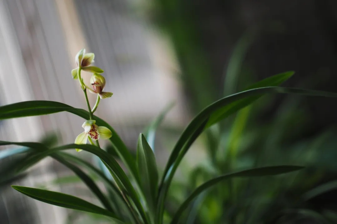 20210425140843843 1xBET¡¤Signup(Öйú¼¯ÍÅ)-¹Ù·½ÍøÕ¾