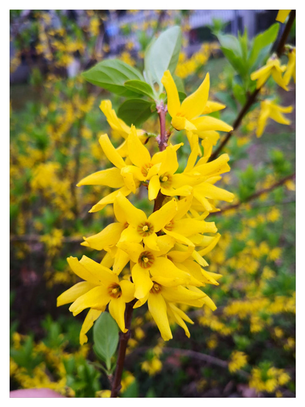 1xBET��Signup(�й�����)-�ٷ���վ