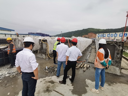 2115521031 2115521031