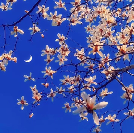 1xBET��Signup(�й�����)-�ٷ���վ