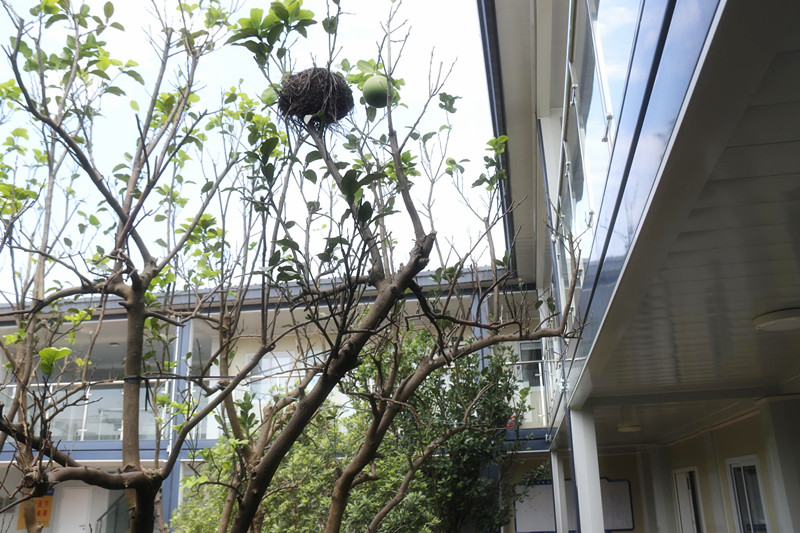 202209061021122112 1xBET¡¤Signup(Öйú¼¯ÍÅ)-¹Ù·½ÍøÕ¾