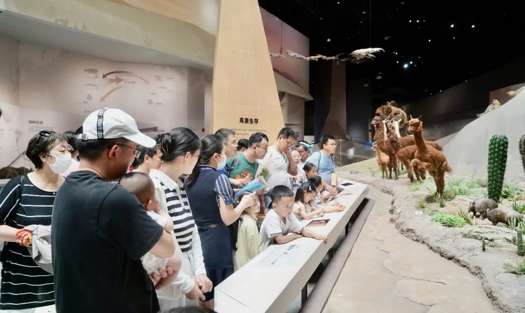 1xBET��Signup(�й�����)-�ٷ���վ