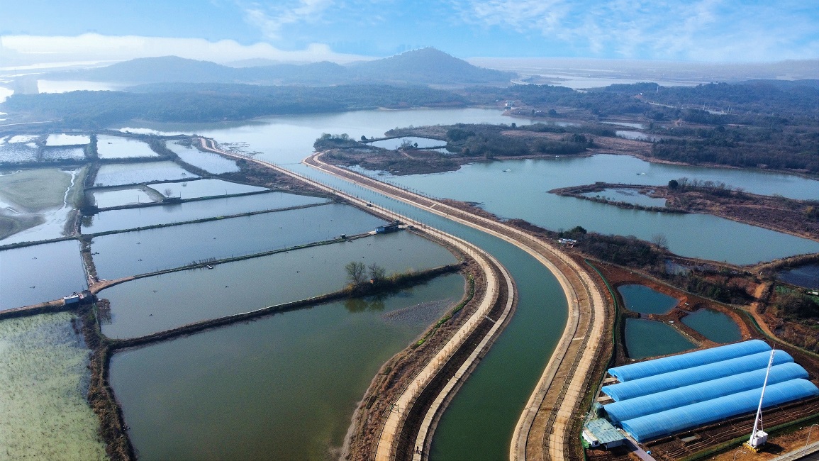 1xBET��Signup(�й�����)-�ٷ���վ