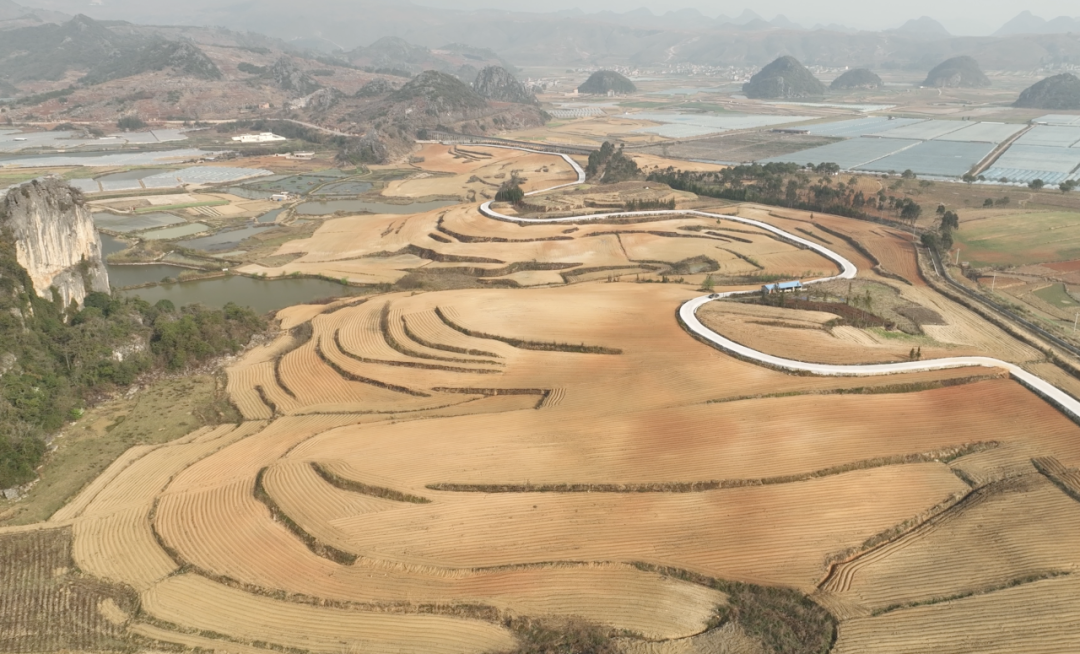 1xBET��Signup(�й�����)-�ٷ���վ