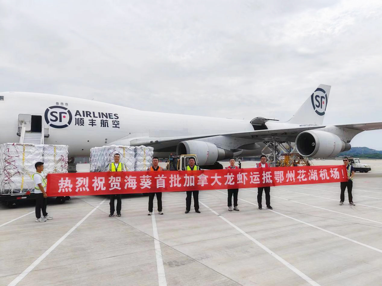 202407191724362436 1xBET¡¤Signup(Öйú¼¯ÍÅ)-¹Ù·½ÍøÕ¾