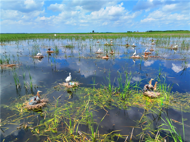 1xBET��Signup(�й�����)-�ٷ���վ