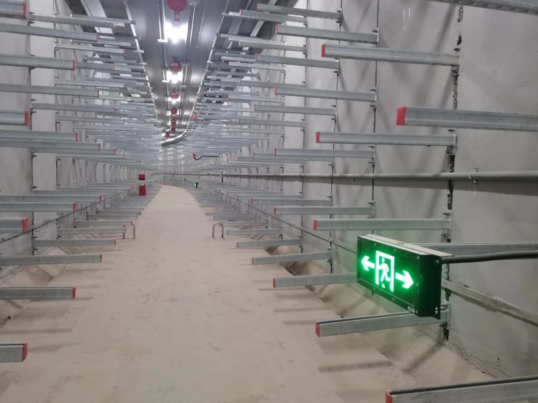 1xBET��Signup(�й�����)-�ٷ���վ