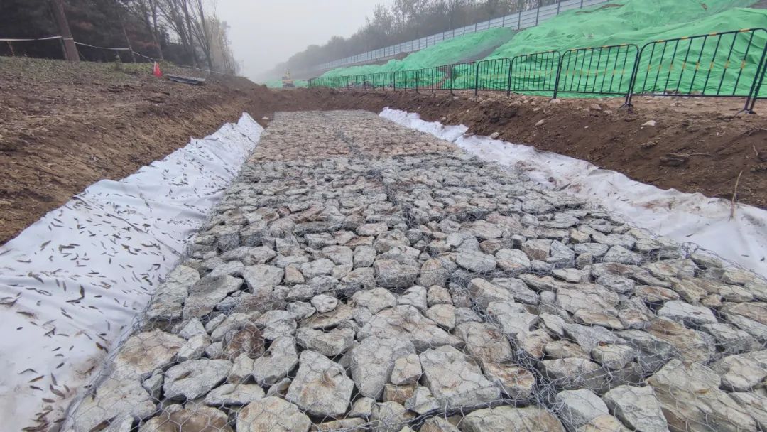 1xBET��Signup(�й�����)-�ٷ���վ