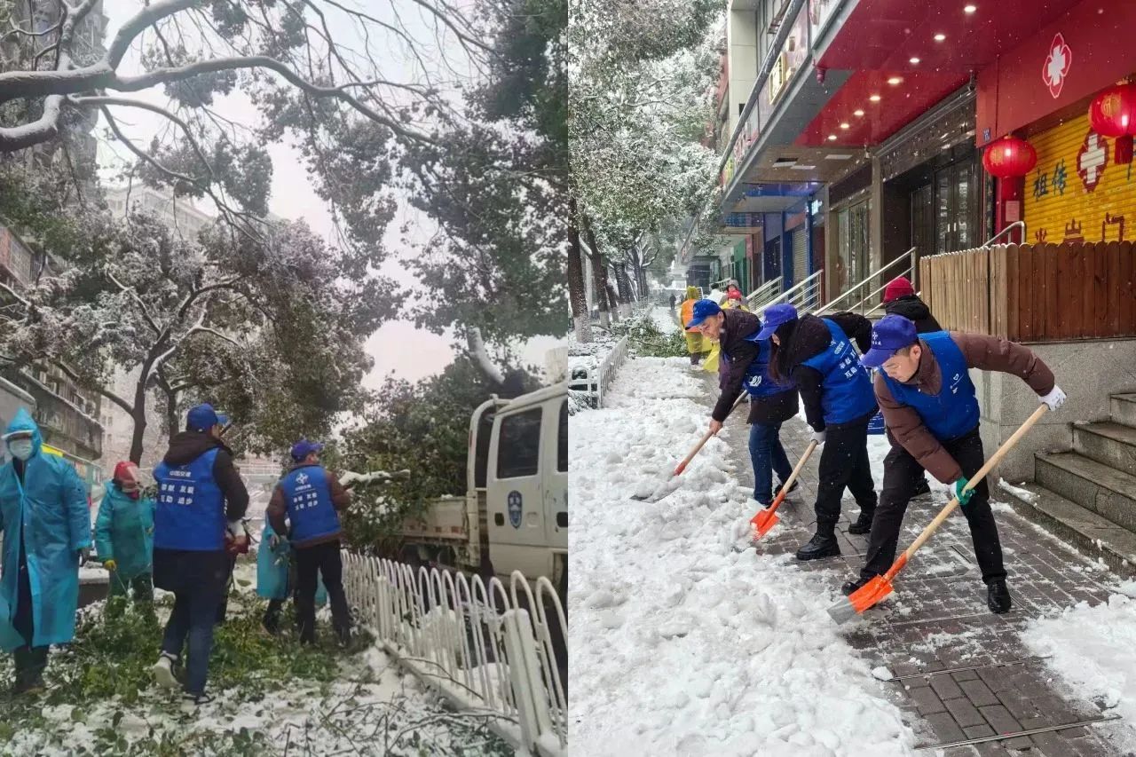 8e034a85ab9f072514a227e495853872