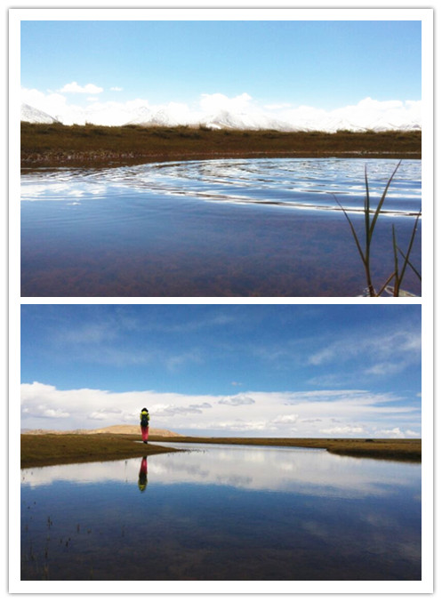 1xBET��Signup(�й�����)-�ٷ���վ