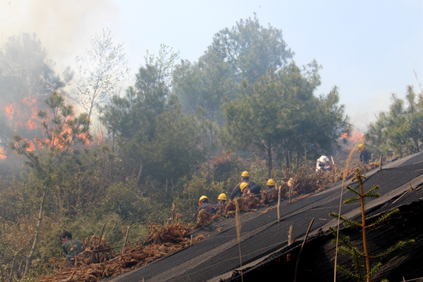 1xBET��Signup(�й�����)-�ٷ���վ