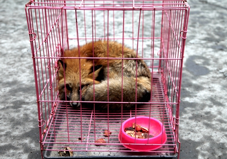 1xBET��Signup(�й�����)-�ٷ���վ