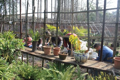 1xBET��Signup(�й�����)-�ٷ���վ