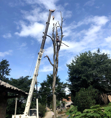 1xBET��Signup(�й�����)-�ٷ���վ