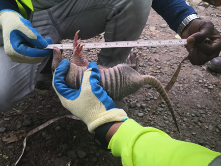 1xBET��Signup(�й�����)-�ٷ���վ