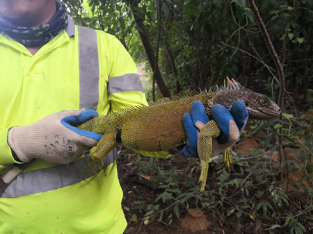 1xBET��Signup(�й�����)-�ٷ���վ