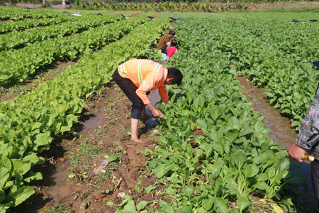 1xBET��Signup(�й�����)-�ٷ���վ