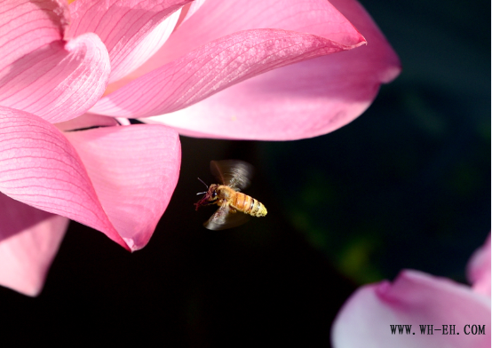 1xBET��Signup(�й�����)-�ٷ���վ