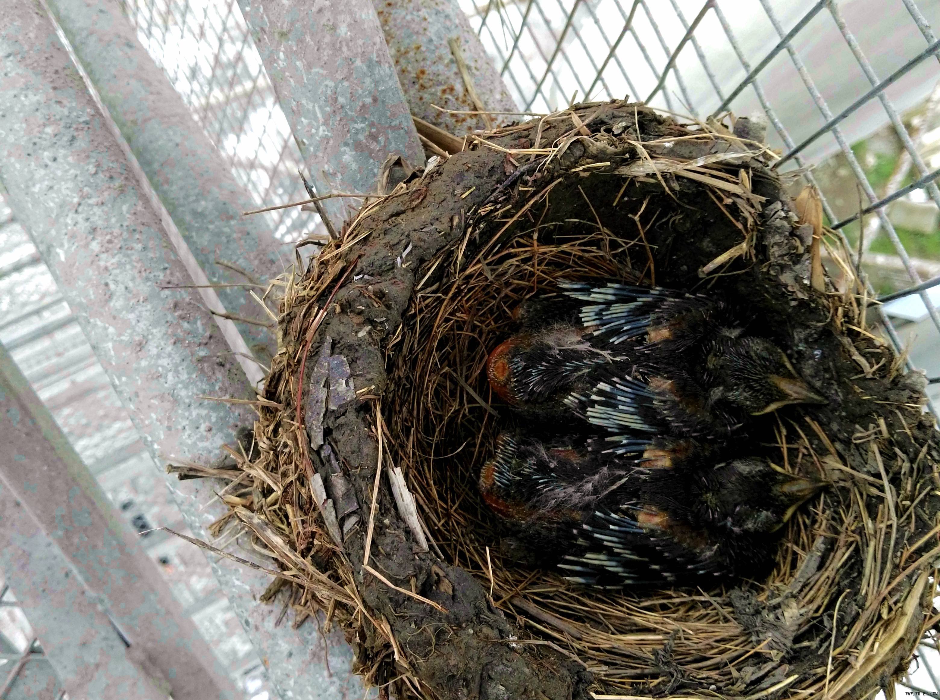 1-1F62Q02U0396 1xBET¡¤Signup(Öйú¼¯ÍÅ)-¹Ù·½ÍøÕ¾