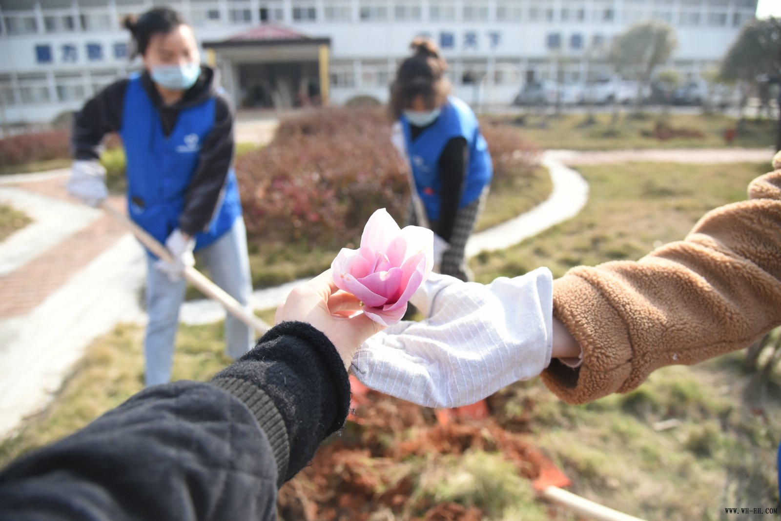 1xBET��Signup(�й�����)-�ٷ���վ