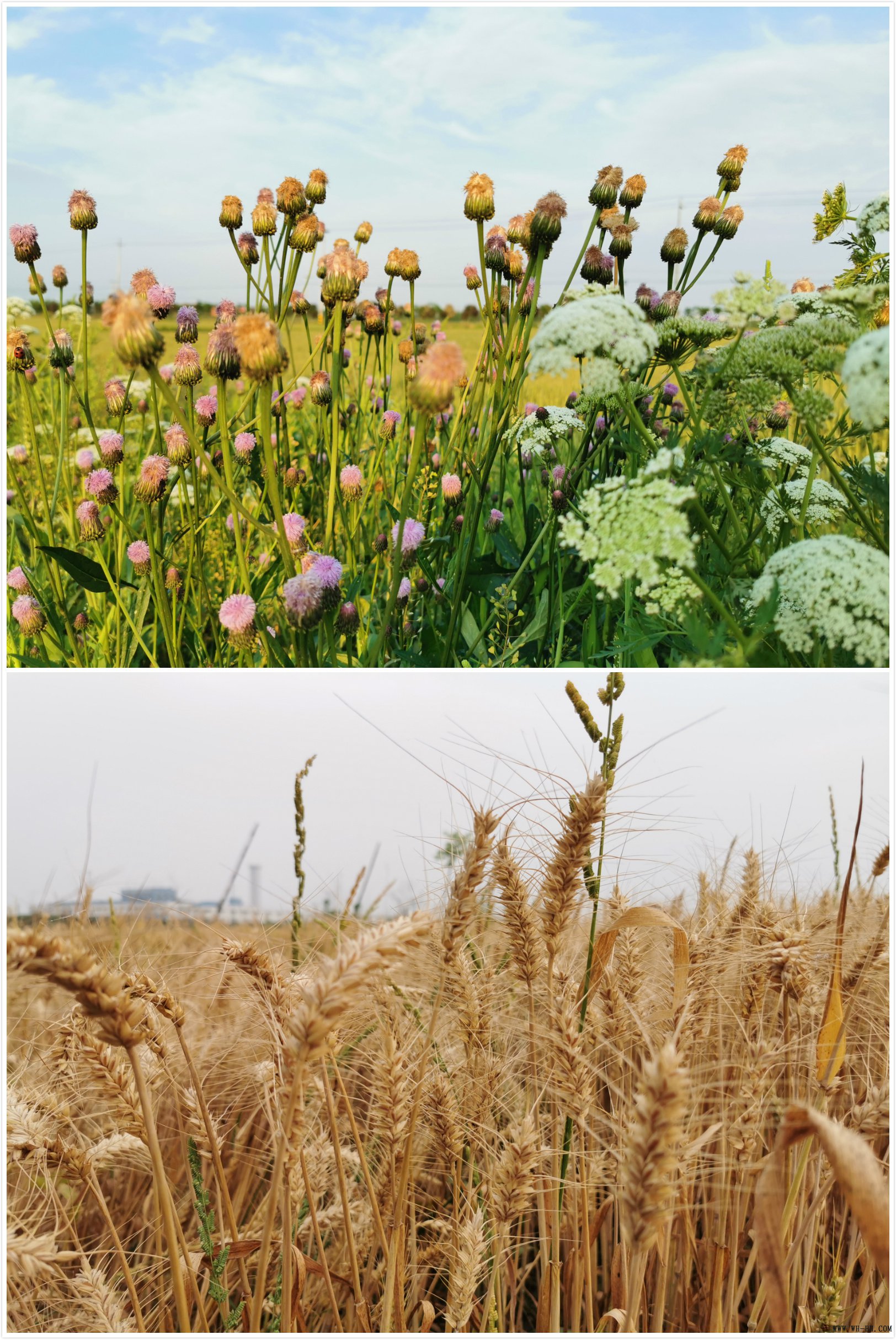 1xBET��Signup(�й�����)-�ٷ���վ