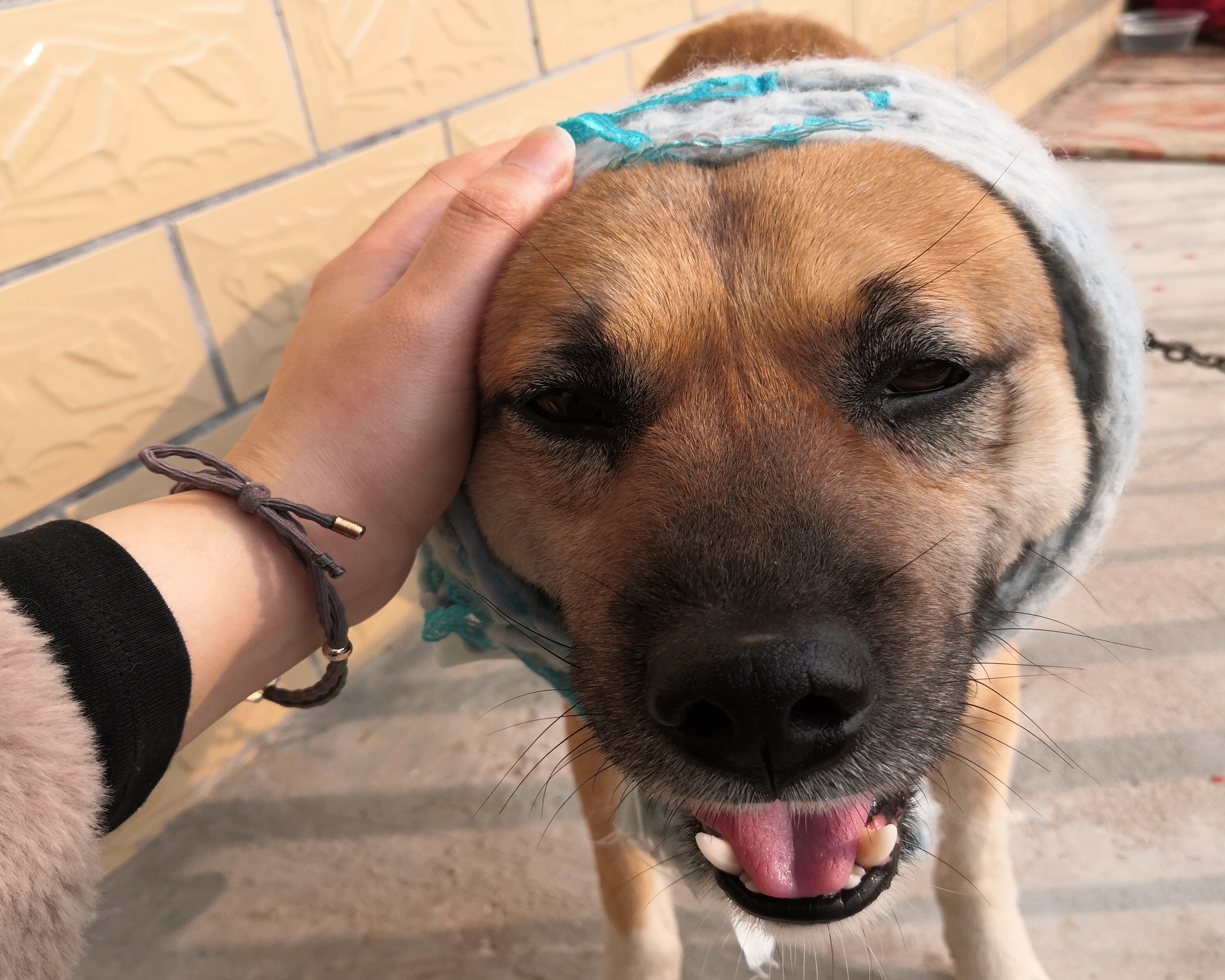 1xBET��Signup(�й�����)-�ٷ���վ